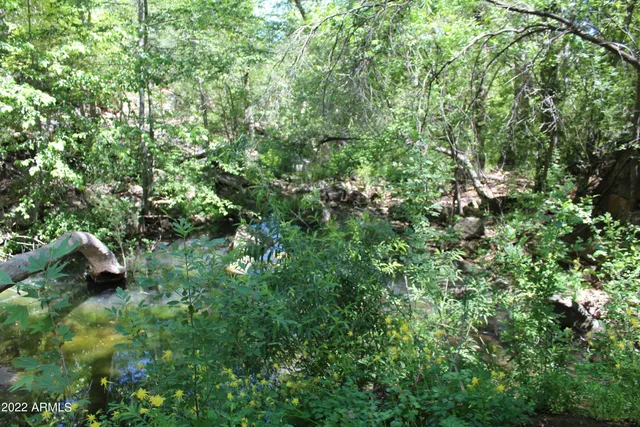 $515,000 | 0 South Ash Creek Road, Globe, AZ 85501