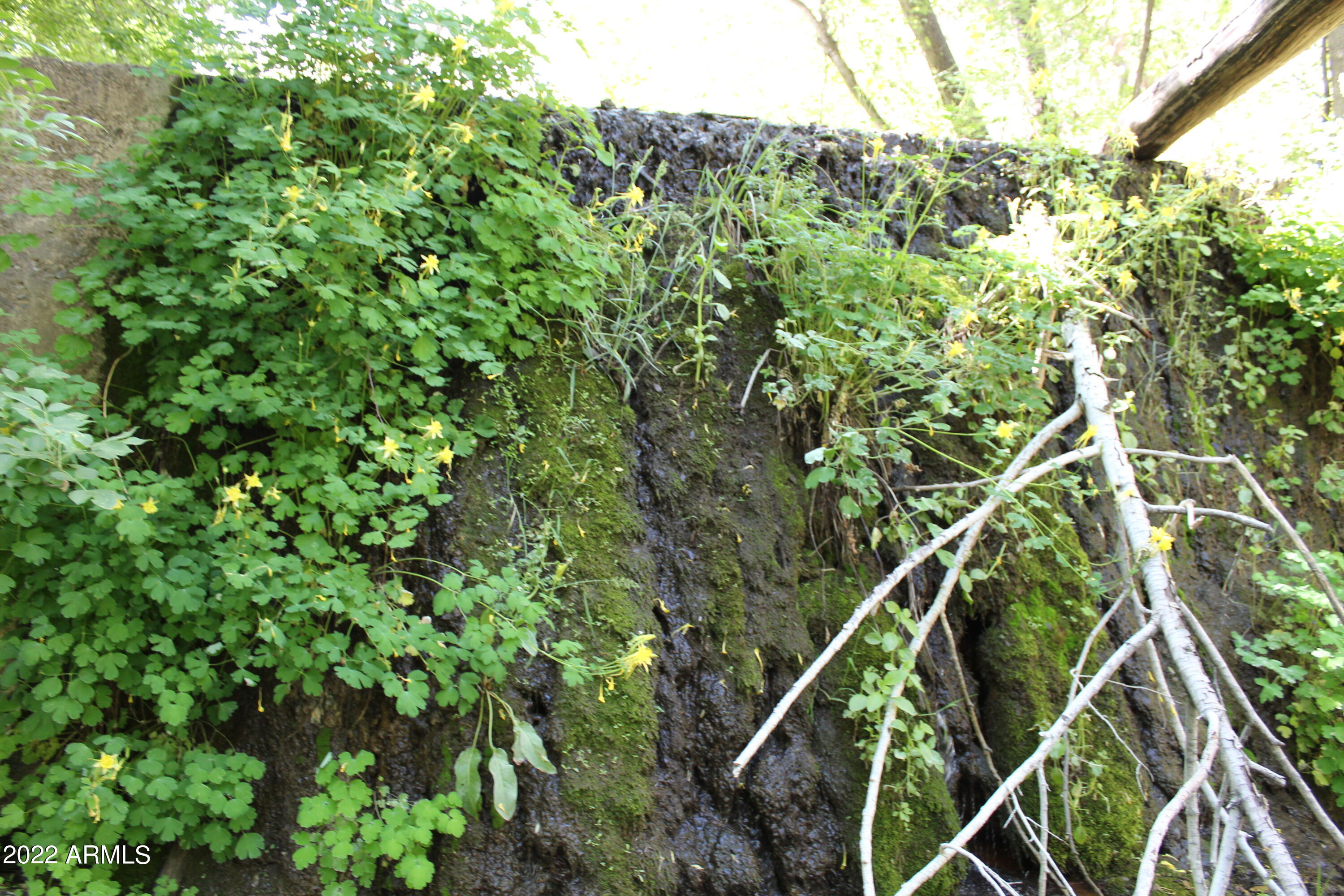 0 South Ash Creek Road Globe, AZ 85501 - Photo 37 of 100 IMG_4949