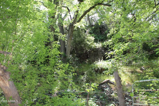 $515,000 | 0 South Ash Creek Road, Globe, AZ 85501