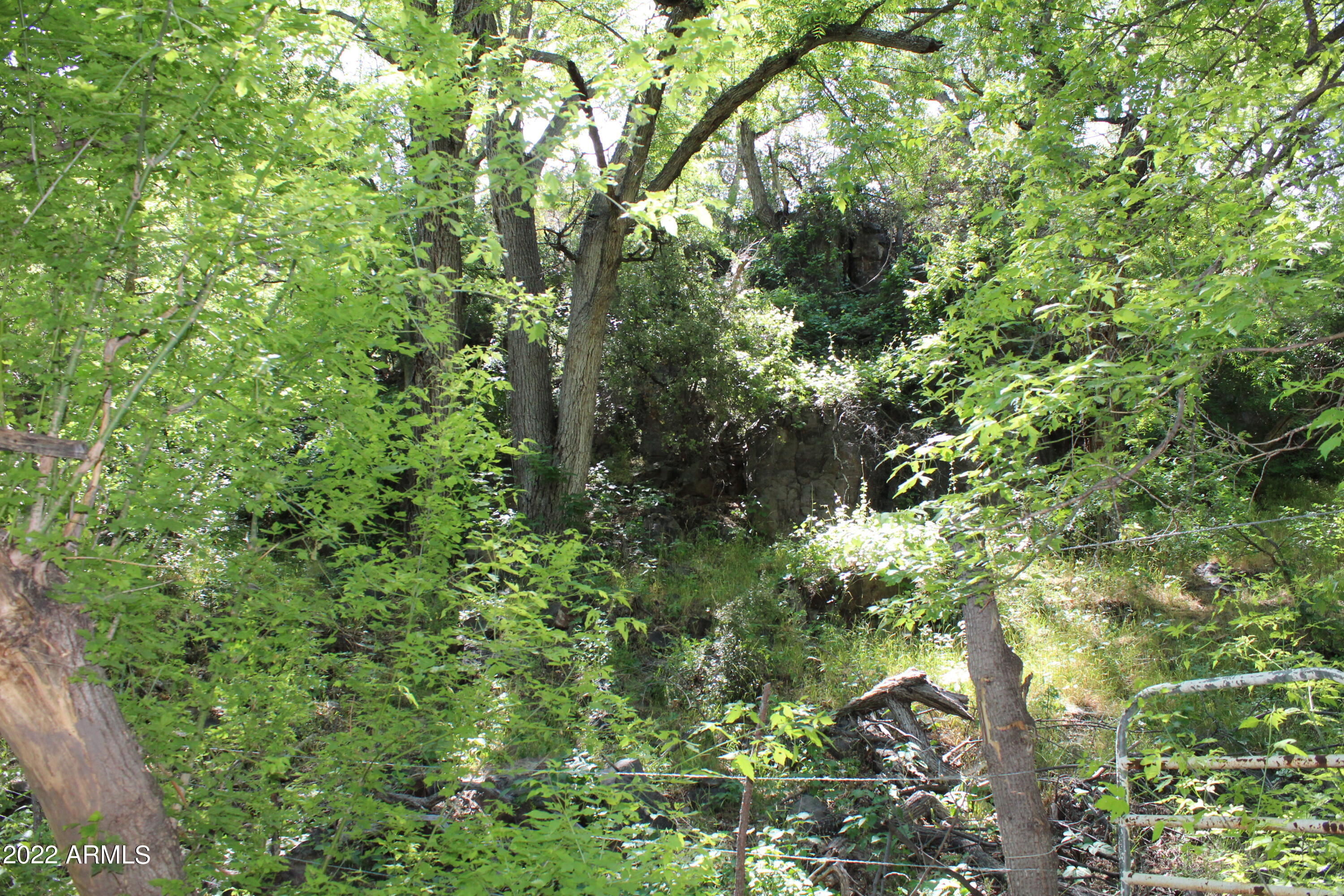 0 South Ash Creek Road Globe, AZ 85501 - Photo 42 of 100 IMG_4944