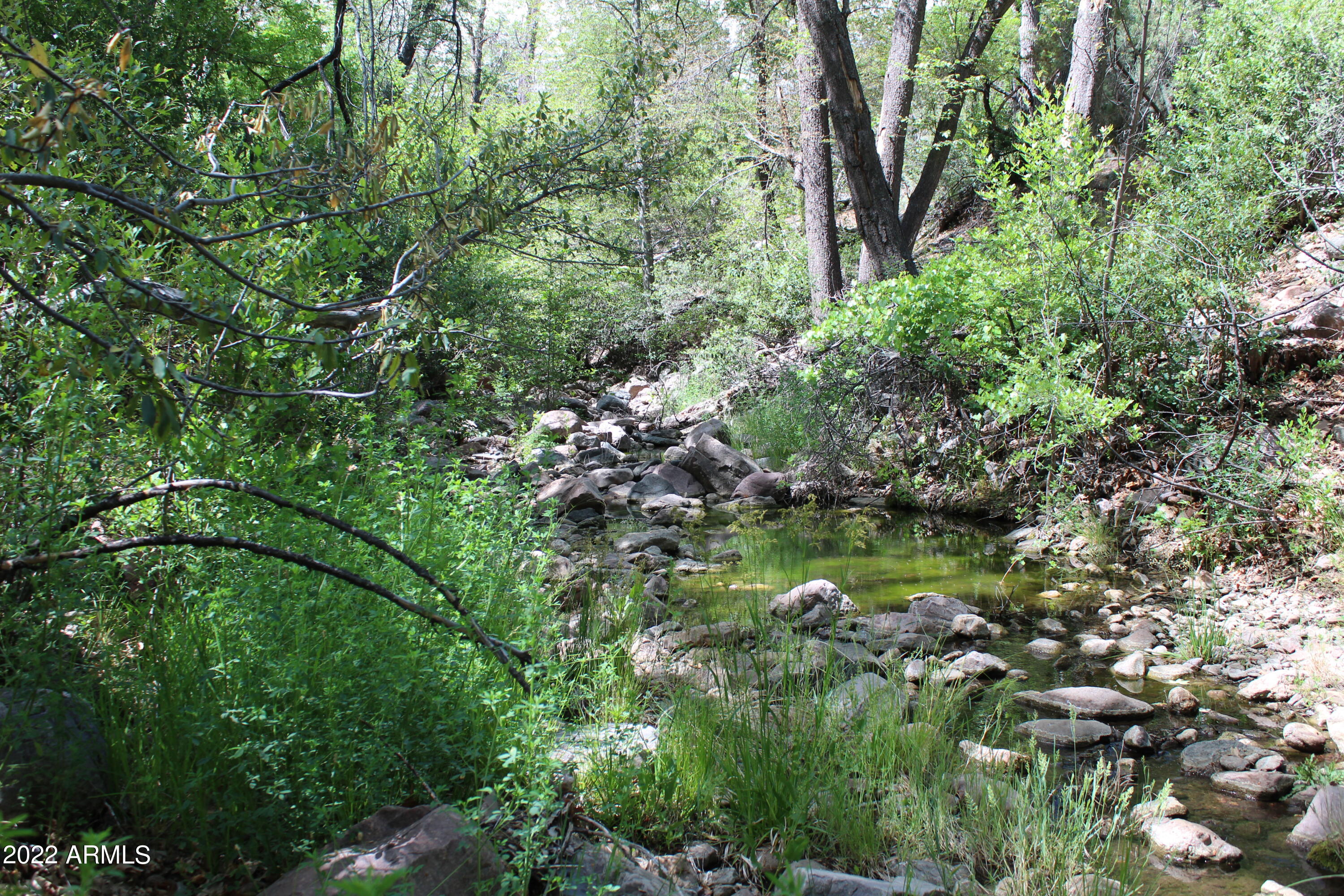 0 South Ash Creek Road Globe, AZ 85501 - Photo 44 of 100 IMG_4938