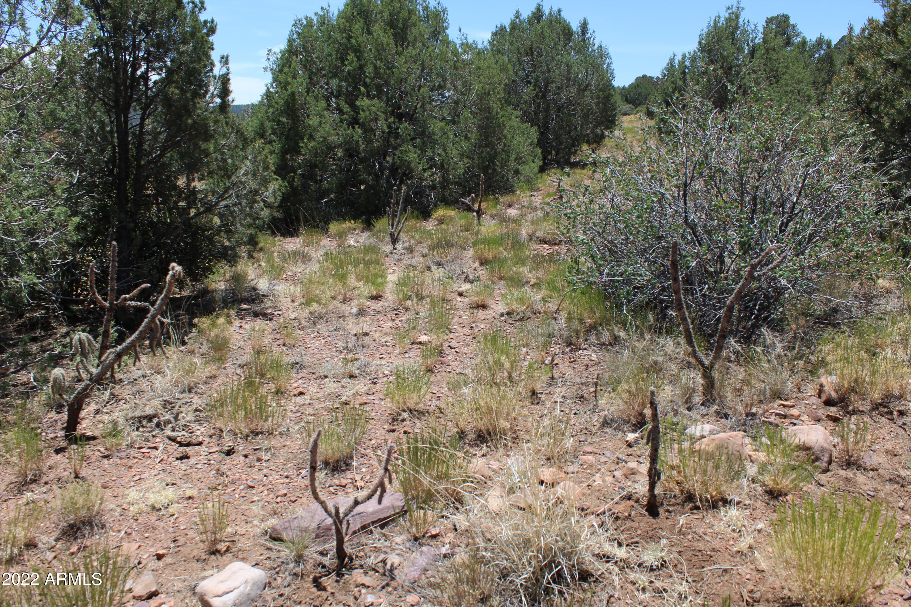0 South Ash Creek Road Globe, AZ 85501 - Photo 10 of 100 IMG_5072