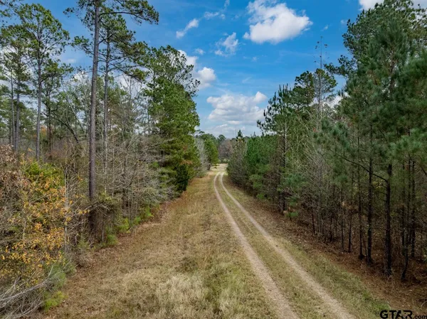 a view of a lake from a yard