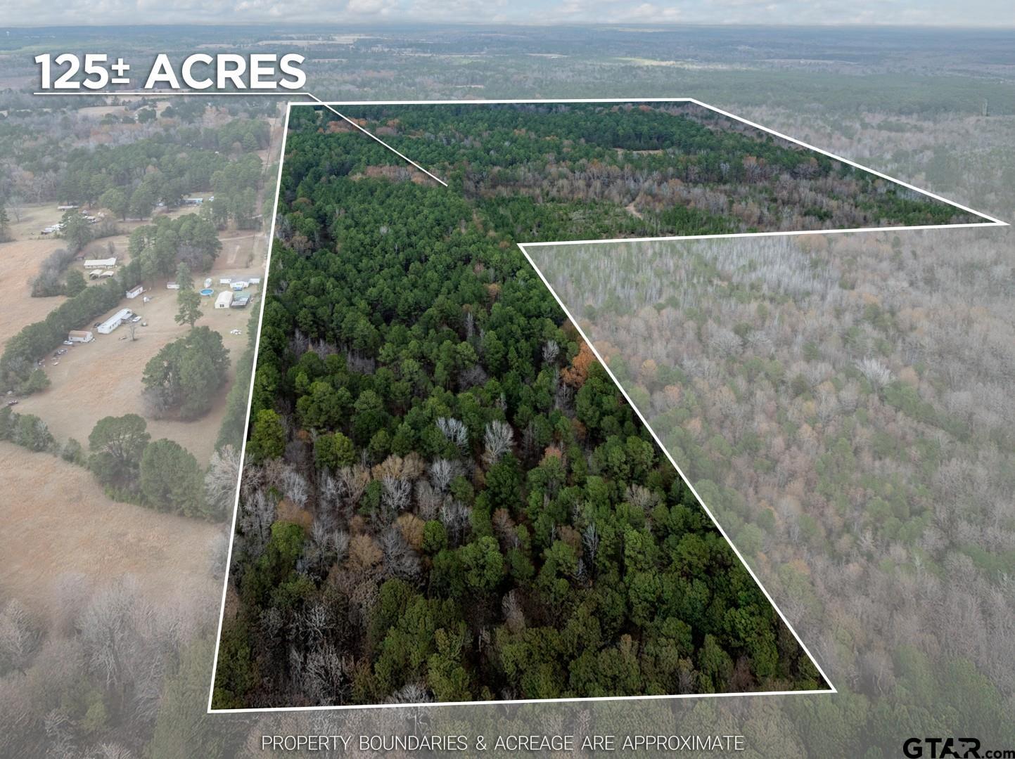 Tbd Leisure Lane Waskom, TX 75692 - Photo 11 of 20