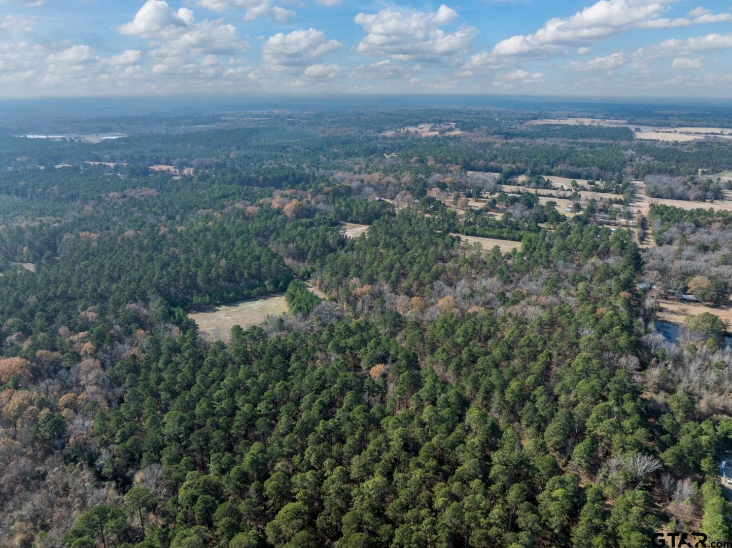 Tbd Leisure Lane Waskom, TX 75692 - Photo 4 of 20 an aerial view of residential house with green space and fog