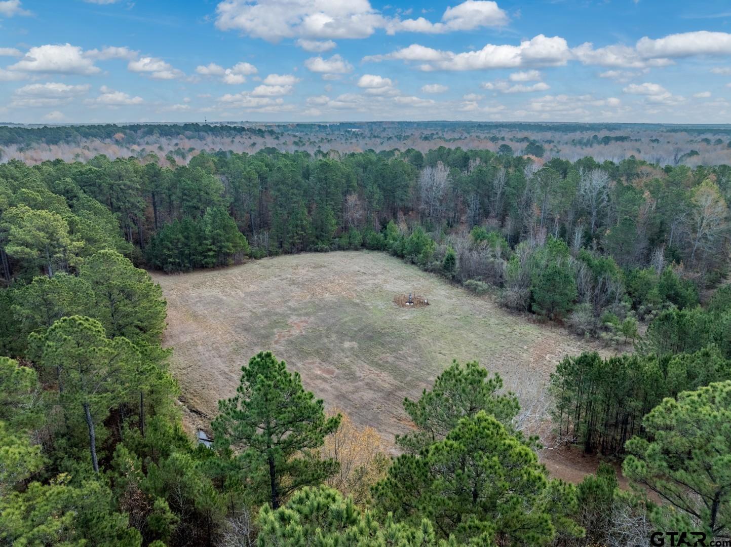 Tbd Leisure Lane Waskom, TX 75692 - Photo 6 of 20 a view of a pathway both side of grassy field with trees in the background
