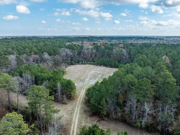 a view of a city with lots of trees