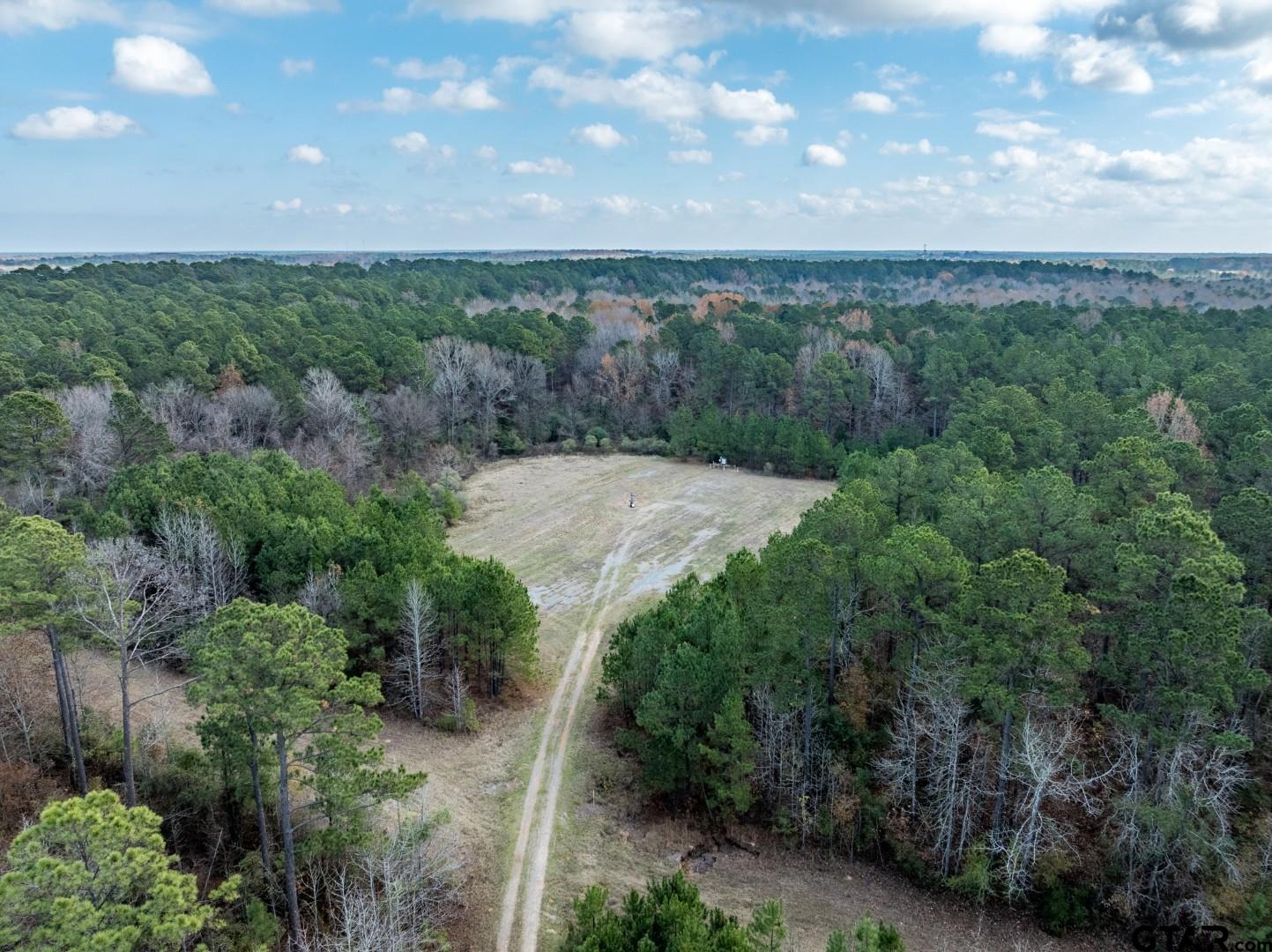 Tbd Leisure Lane Waskom, TX 75692 - Photo 7 of 20