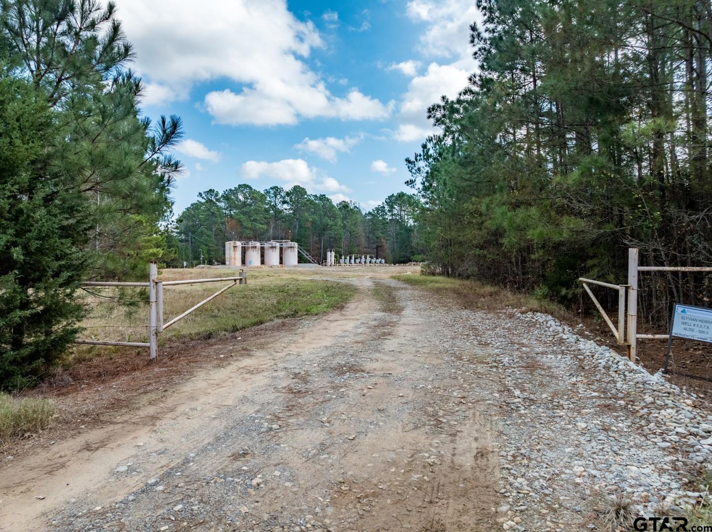 Tbd Leisure Lane Waskom, TX 75692 - Photo 8 of 20