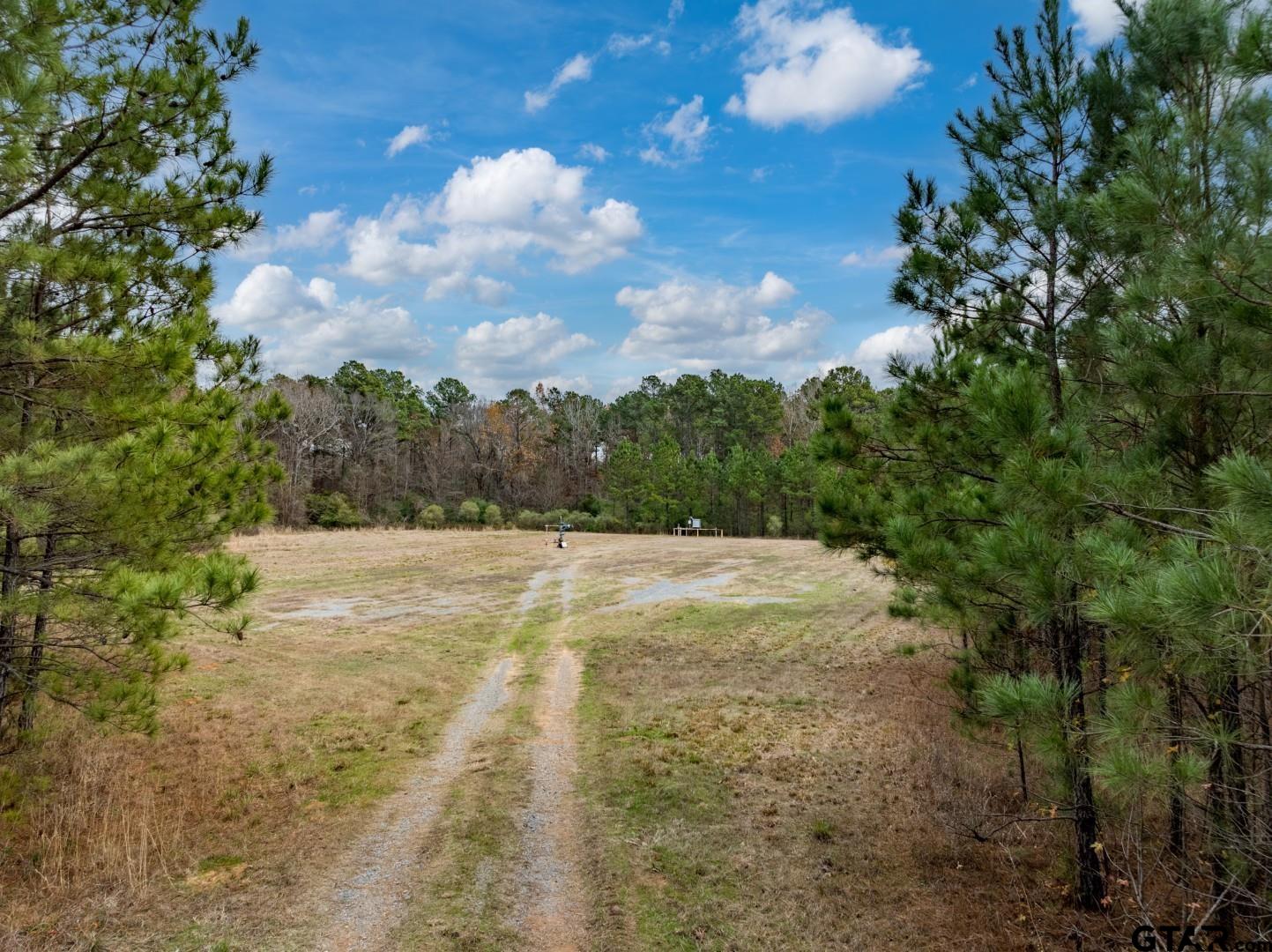 Tbd Leisure Lane Waskom, TX 75692 - Photo 9 of 20 a view of a yard with a tree