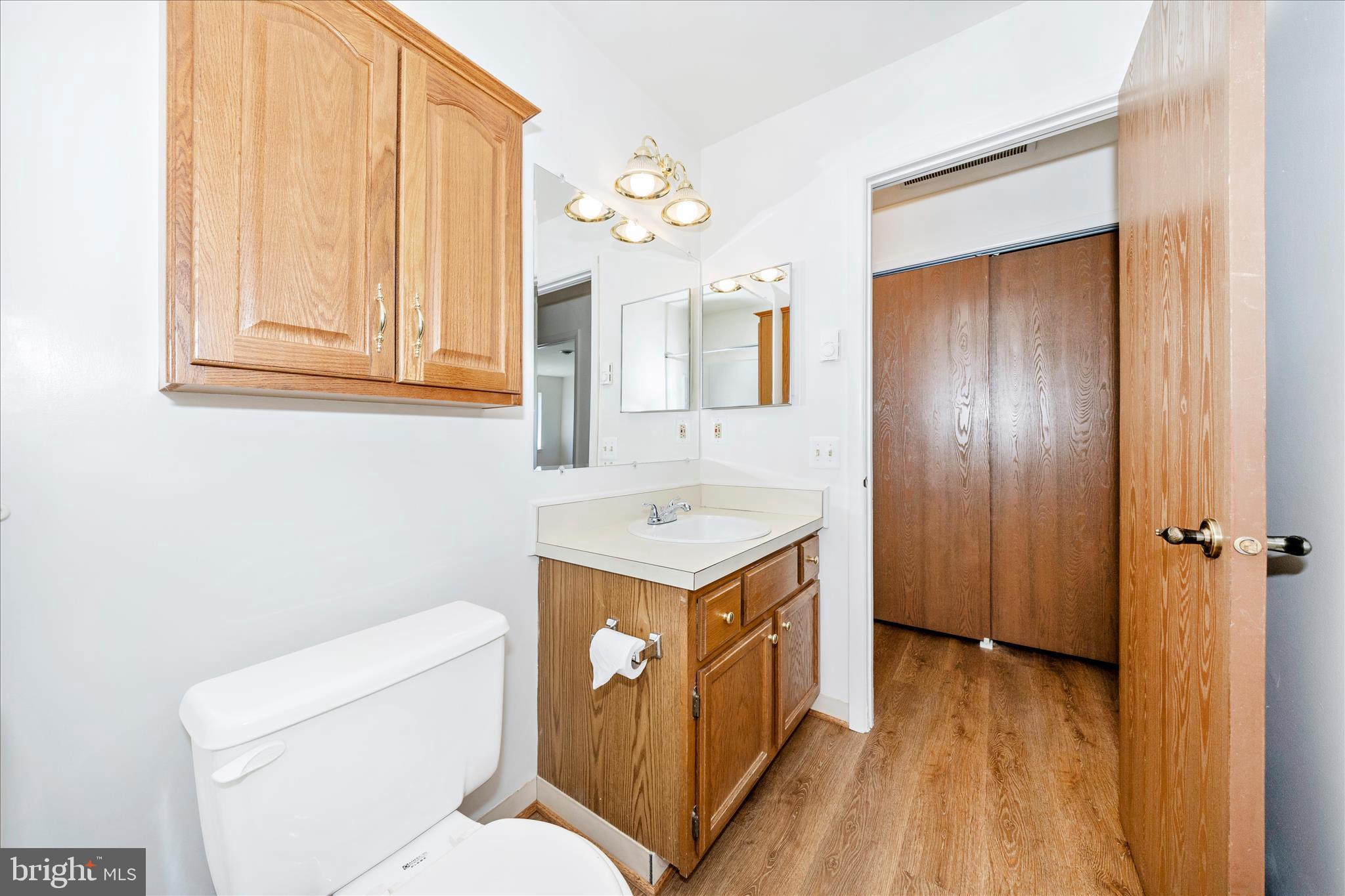 5738 Box Elder Court Frederick, MD 21703 - Photo 17 of 50 a bathroom with a sink a mirror and a toilet