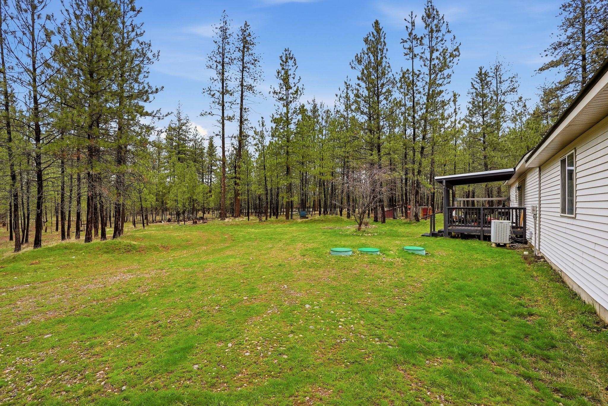 4806 Highway 231 Springdale, WA 99173 - Photo 29 of 39