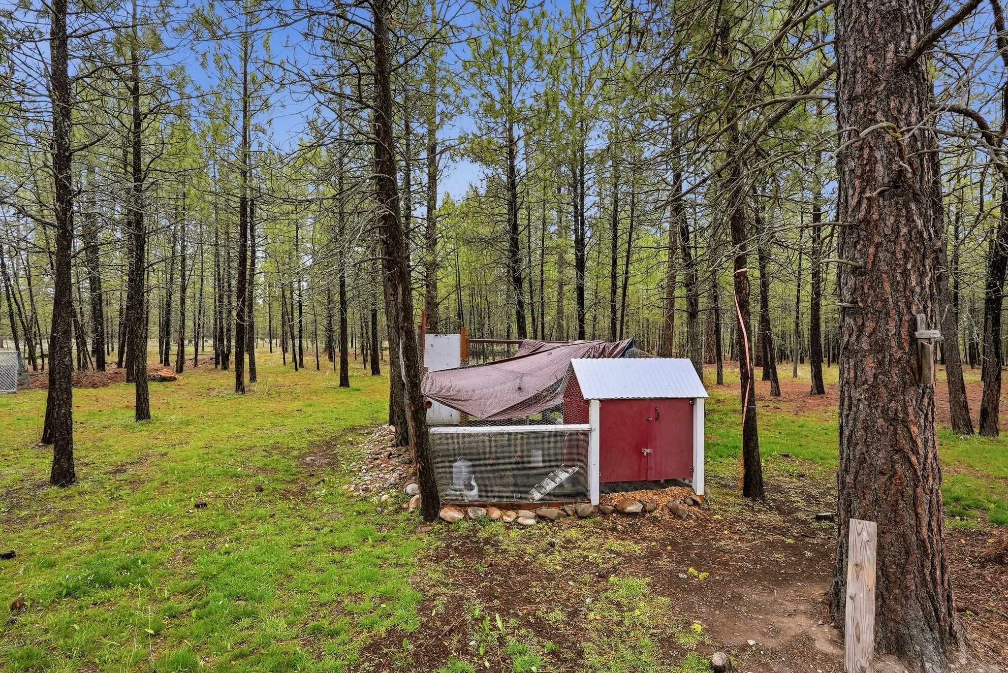 4806 Highway 231 Springdale, WA 99173 - Photo 31 of 39