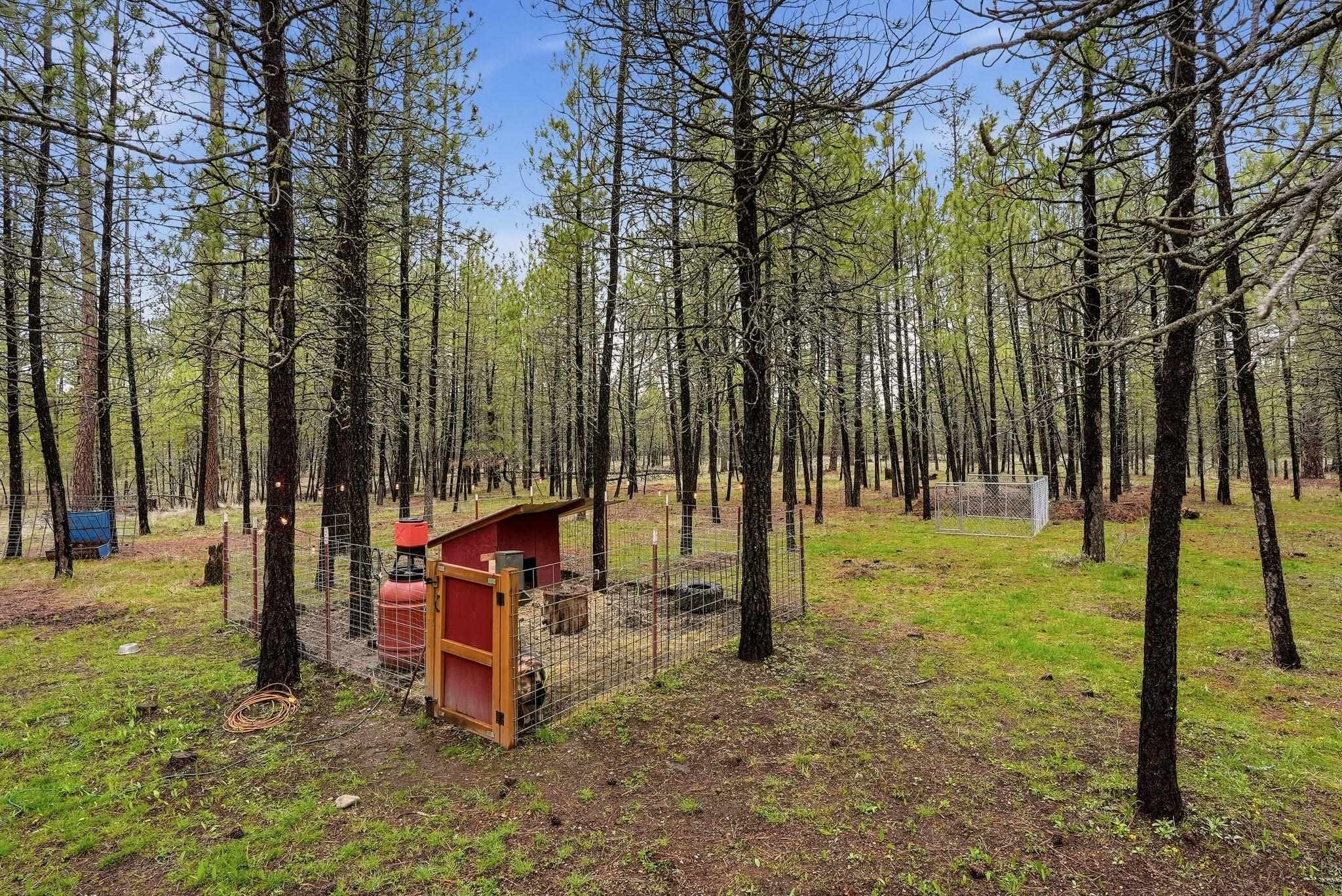 4806 Highway 231 Springdale, WA 99173 - Photo 32 of 39