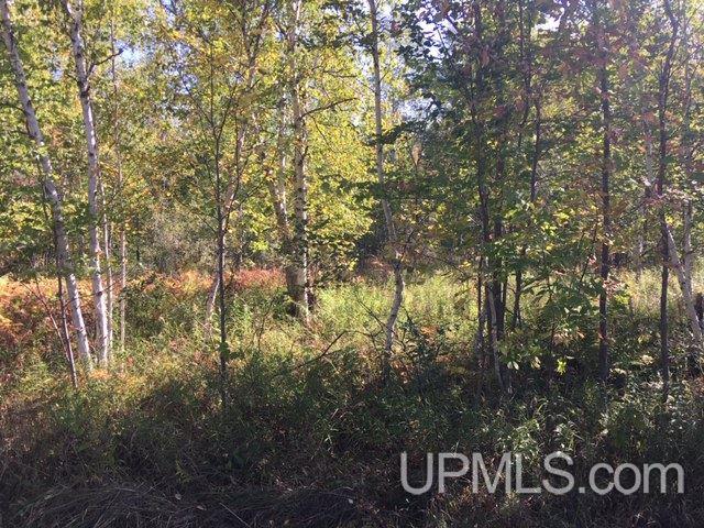 122 Rd Saxon V-wi Wi 54559 Road, Unit 10 ACS Ashland, WI 54806 - Photo 1 of 11