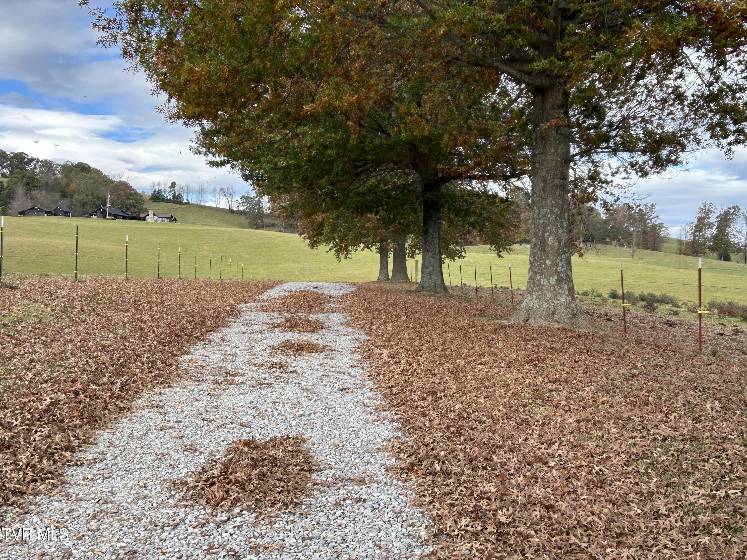 490 Miller Road Greeneville, TN 37745 - Photo 36 of 53 IMG_2119