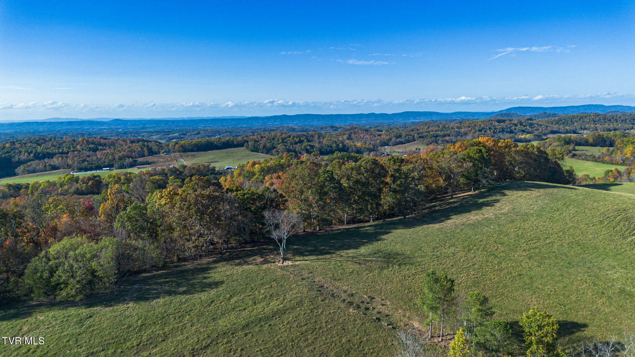 490 Miller Road Greeneville, TN 37745 - Photo 39 of 53 8-web-or-mls-DJI_0992