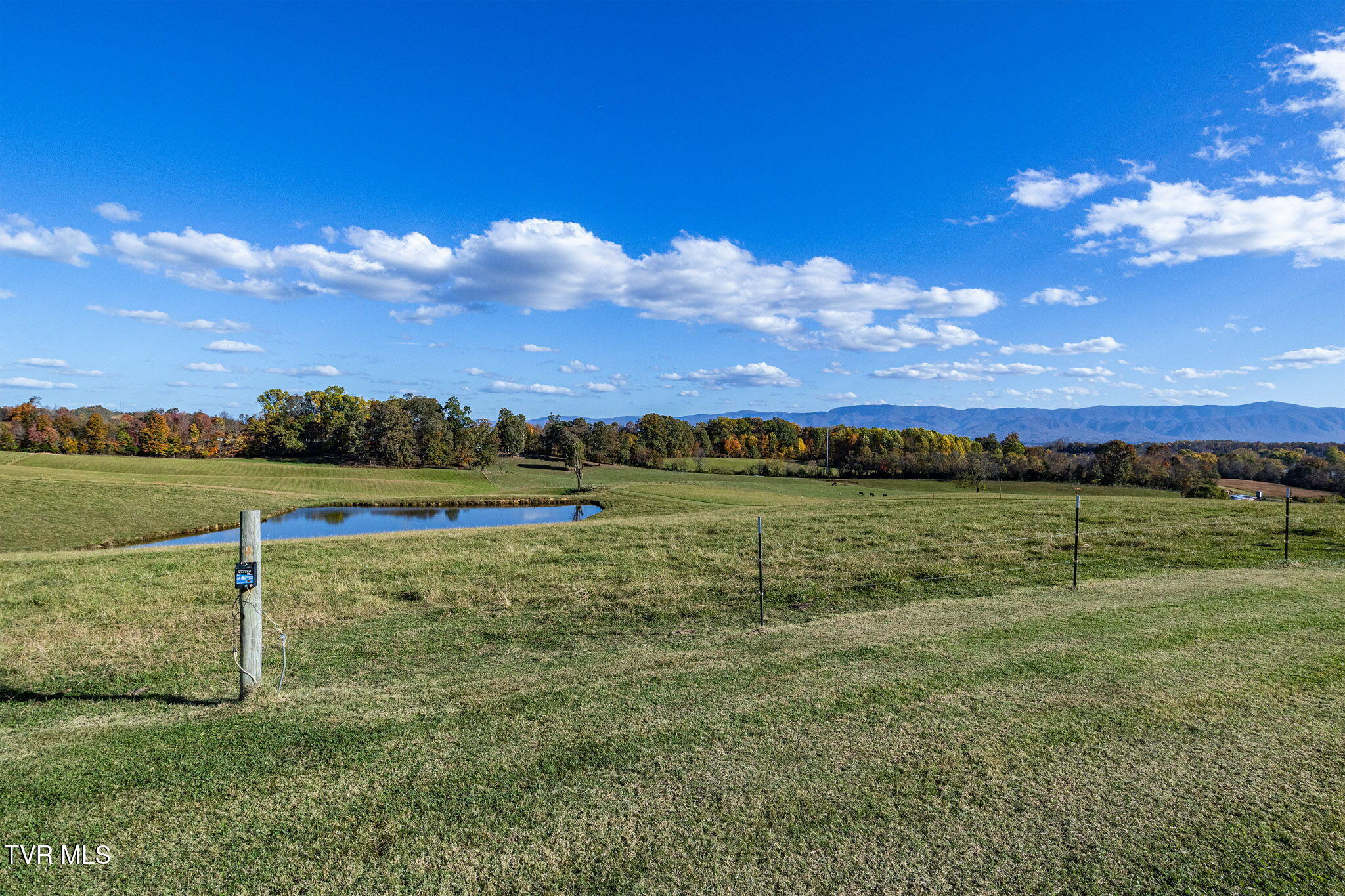 490 Miller Road Greeneville, TN 37745 - Photo 52 of 53 24-web-or-mls-IMG_2809