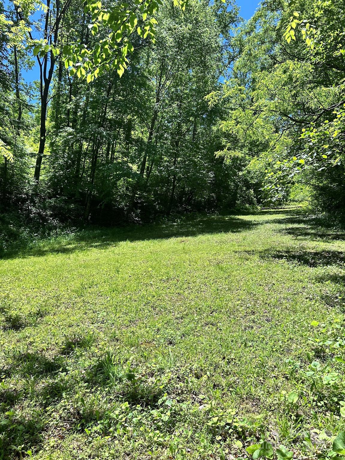 611 Johnson Hollow Road Bakersville, NC 28705 - Photo 23 of 43 a view of outdoor space with a field and trees