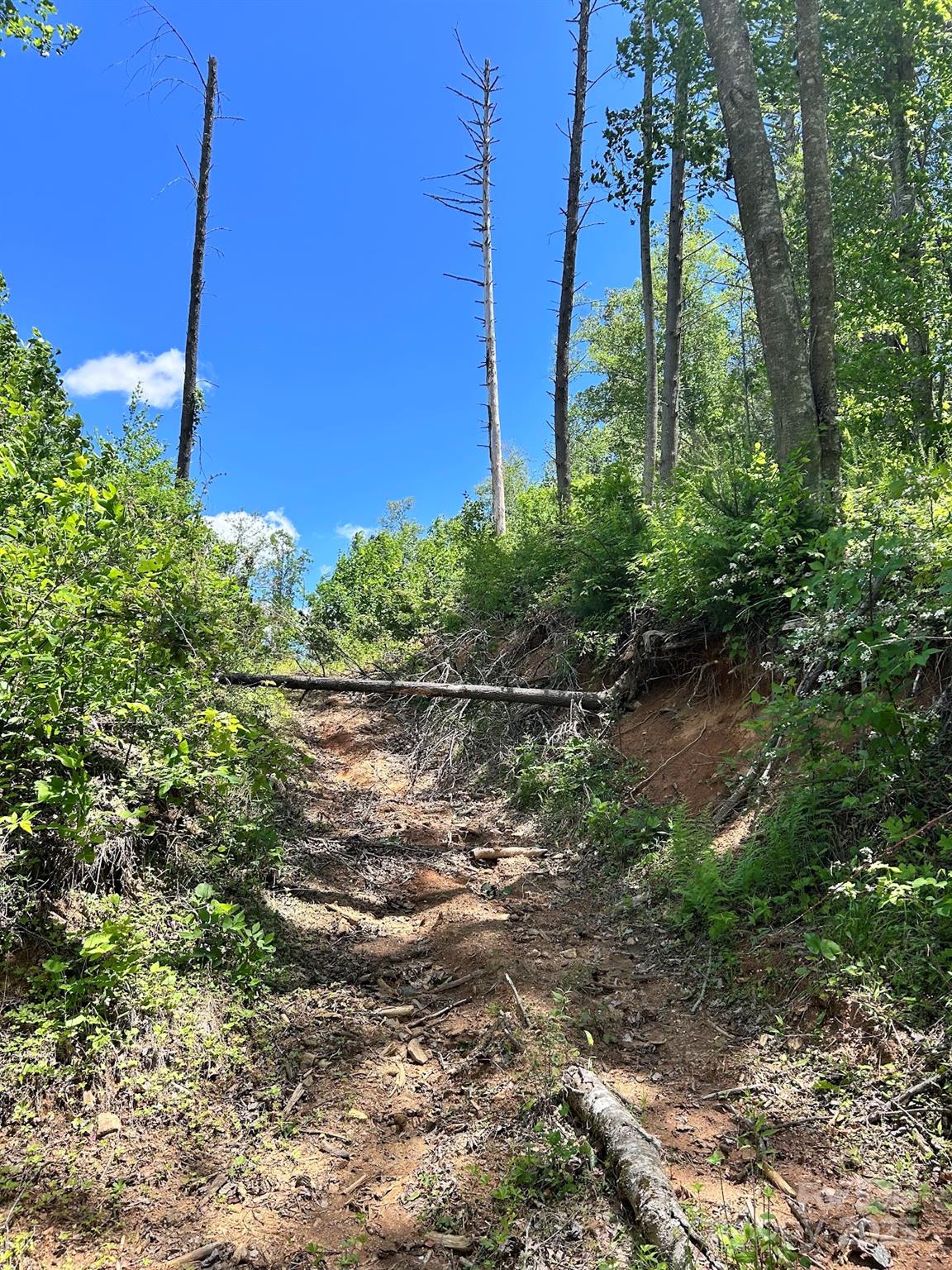 611 Johnson Hollow Road Bakersville, NC 28705 - Photo 32 of 43