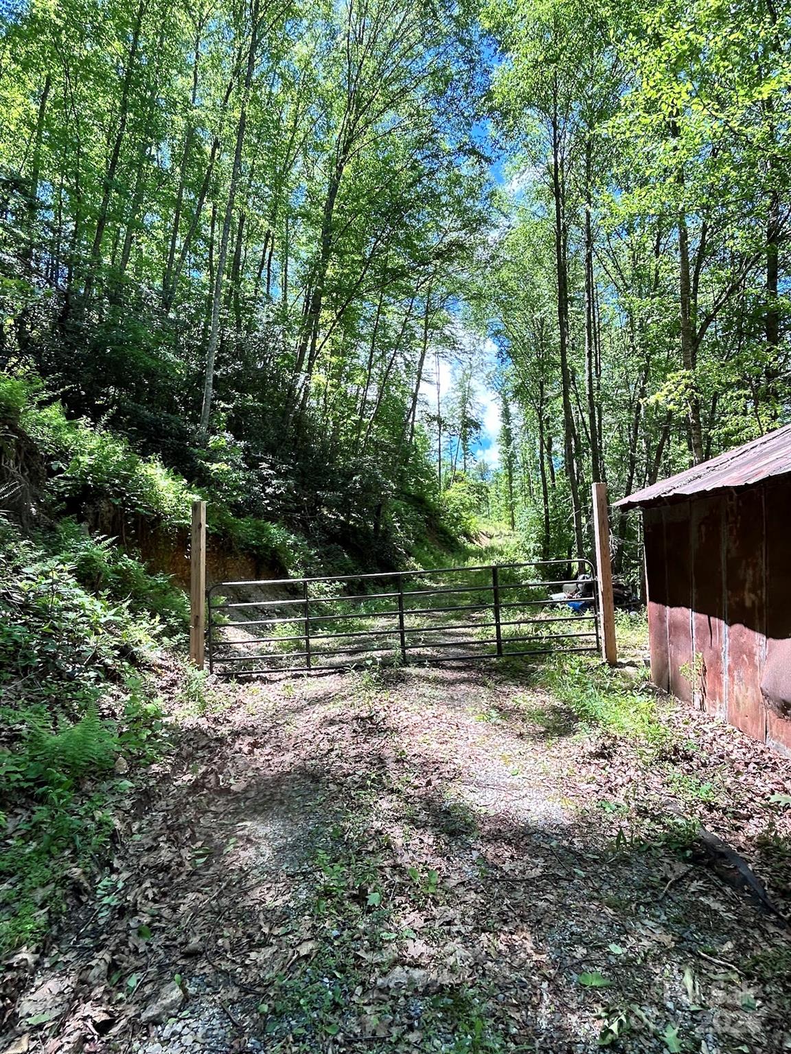 611 Johnson Hollow Road Bakersville, NC 28705 - Photo 38 of 43 a view of a backyard with trees