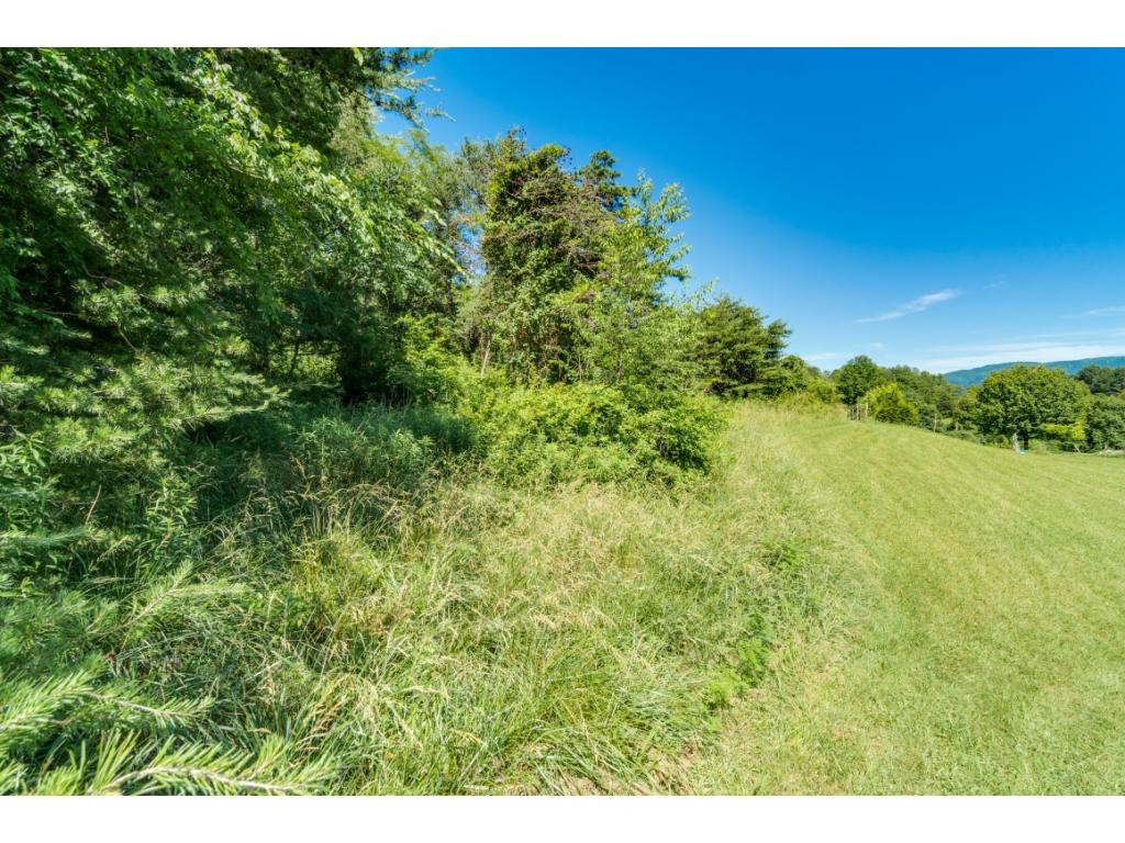 203 Archer Road Jonesborough, TN 37659 - Photo 28 of 30 Photo 29