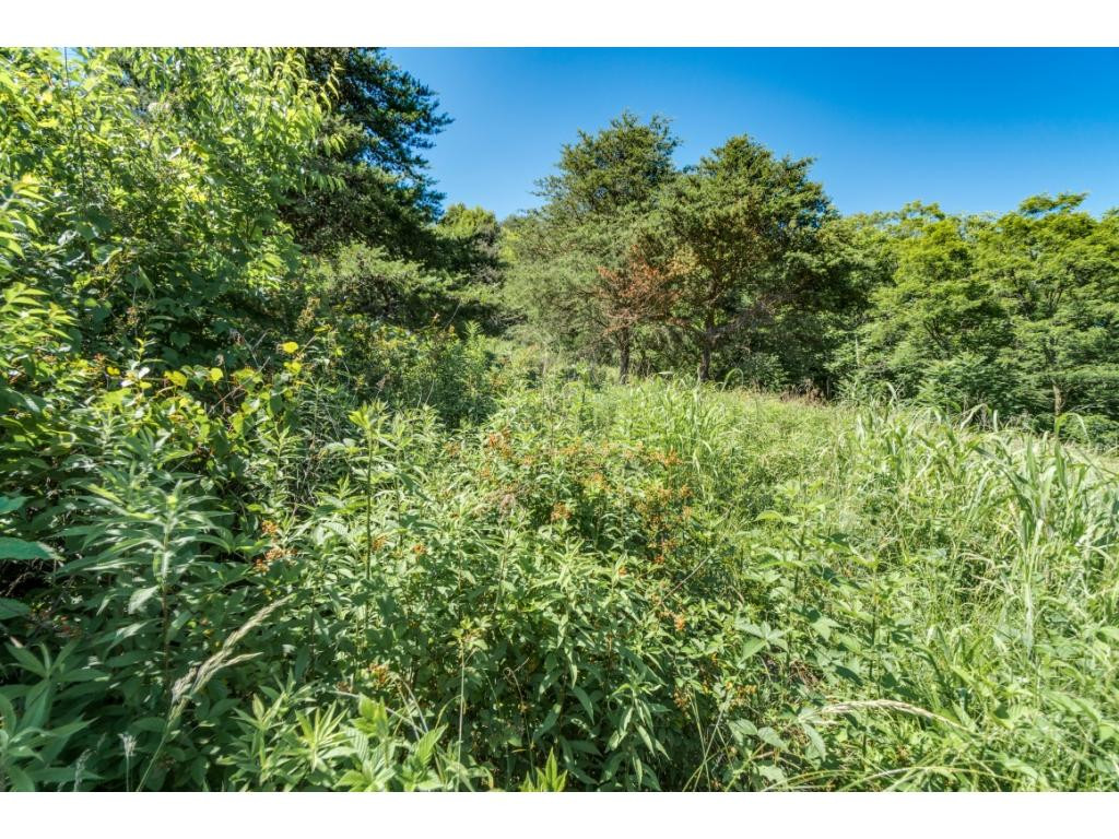 203 Archer Road Jonesborough, TN 37659 - Photo 29 of 30 Photo 30