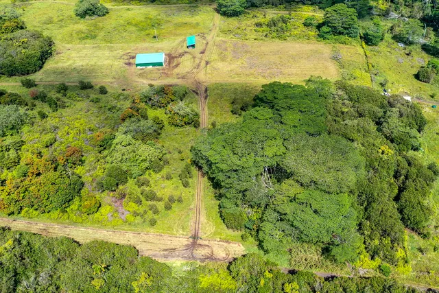 a close up of a plant in a garden