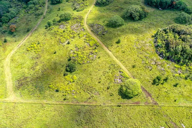 a view of yard with green space