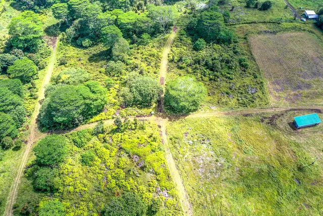 a view of a green field