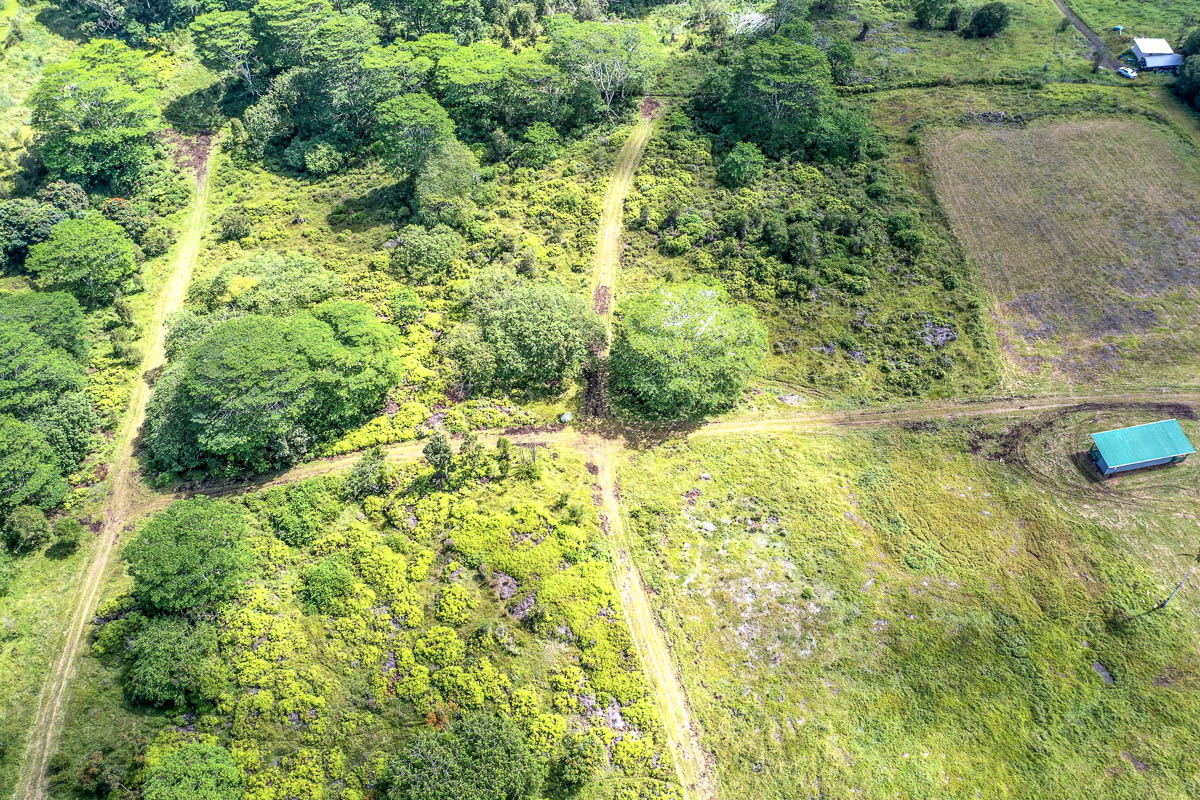 17-4870 Lot A South Road Mountain View, HI 96771 - Photo 19 of 30 a view of yard with green space