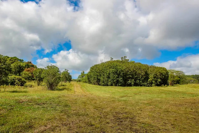 a view of a field with an ocean