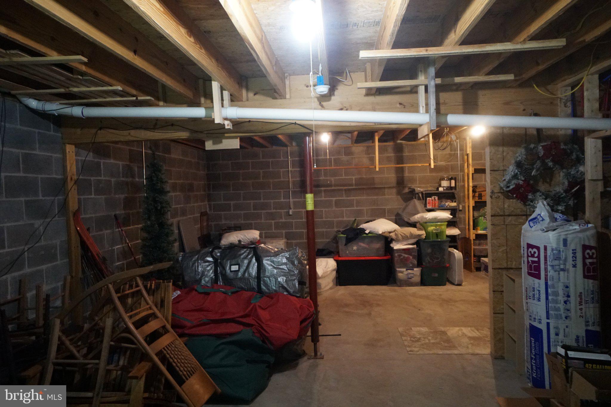 150 Sharp Ridge Lane Franklin, WV 26807 - Photo 49 of 69 Spacious basement with ample storage.
