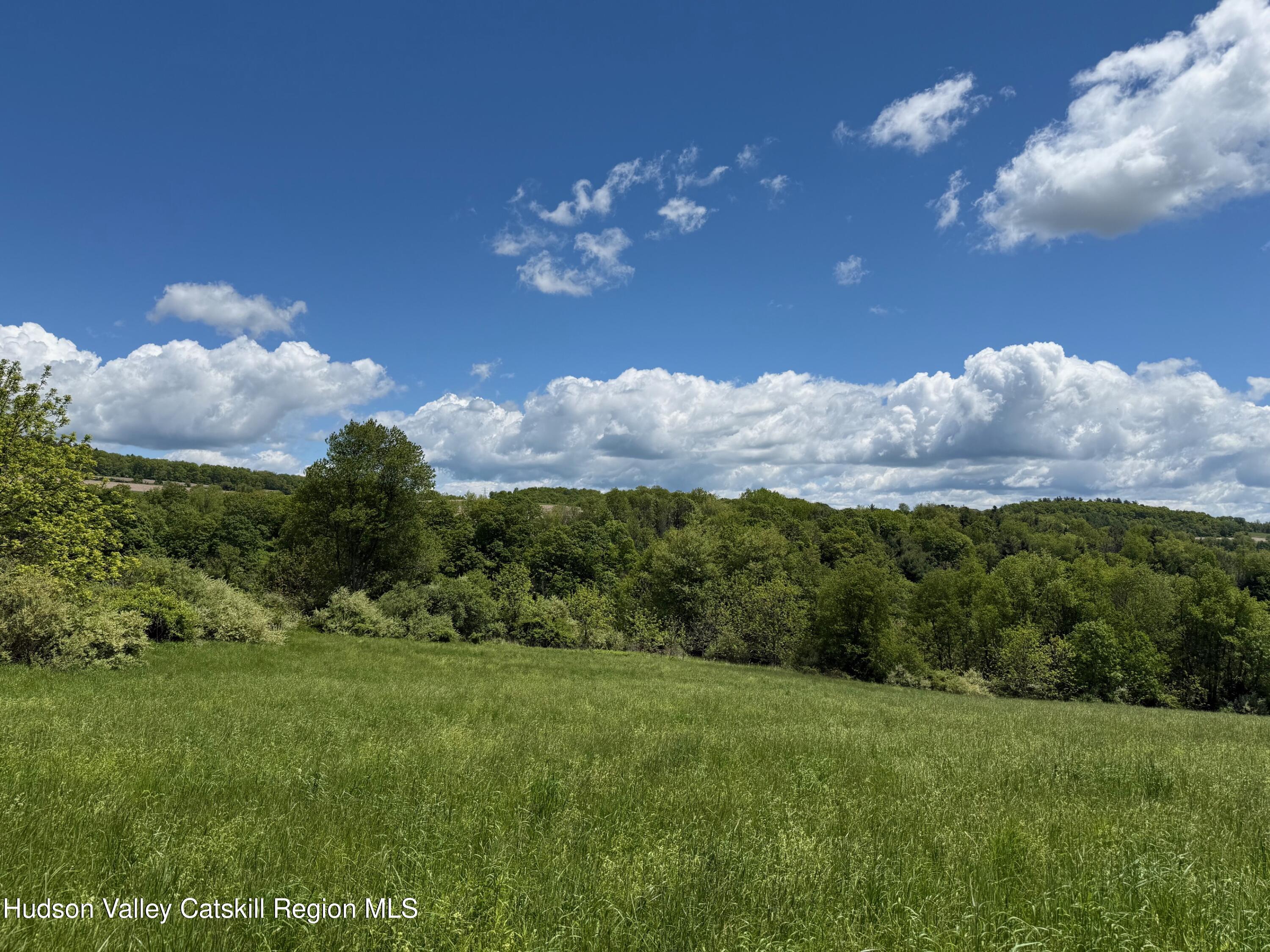 Lot # Smithfield Road Millerton, NY 12546 - Photo 2 of 7 a view of a big yard with lots of green space