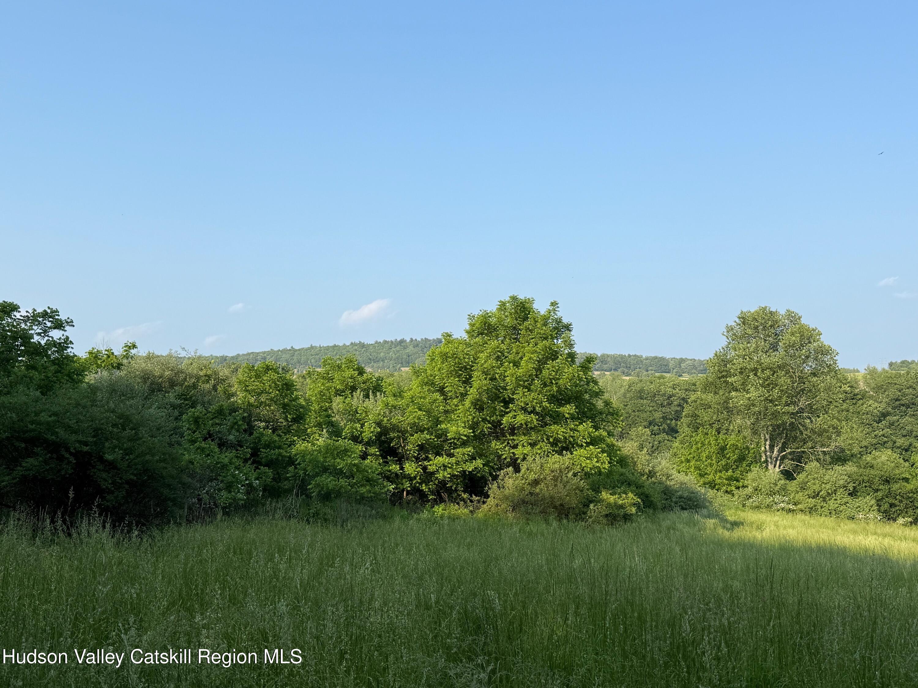 Lot # Smithfield Road Millerton, NY 12546 - Photo 3 of 7 a view of a green field with lots of bushes