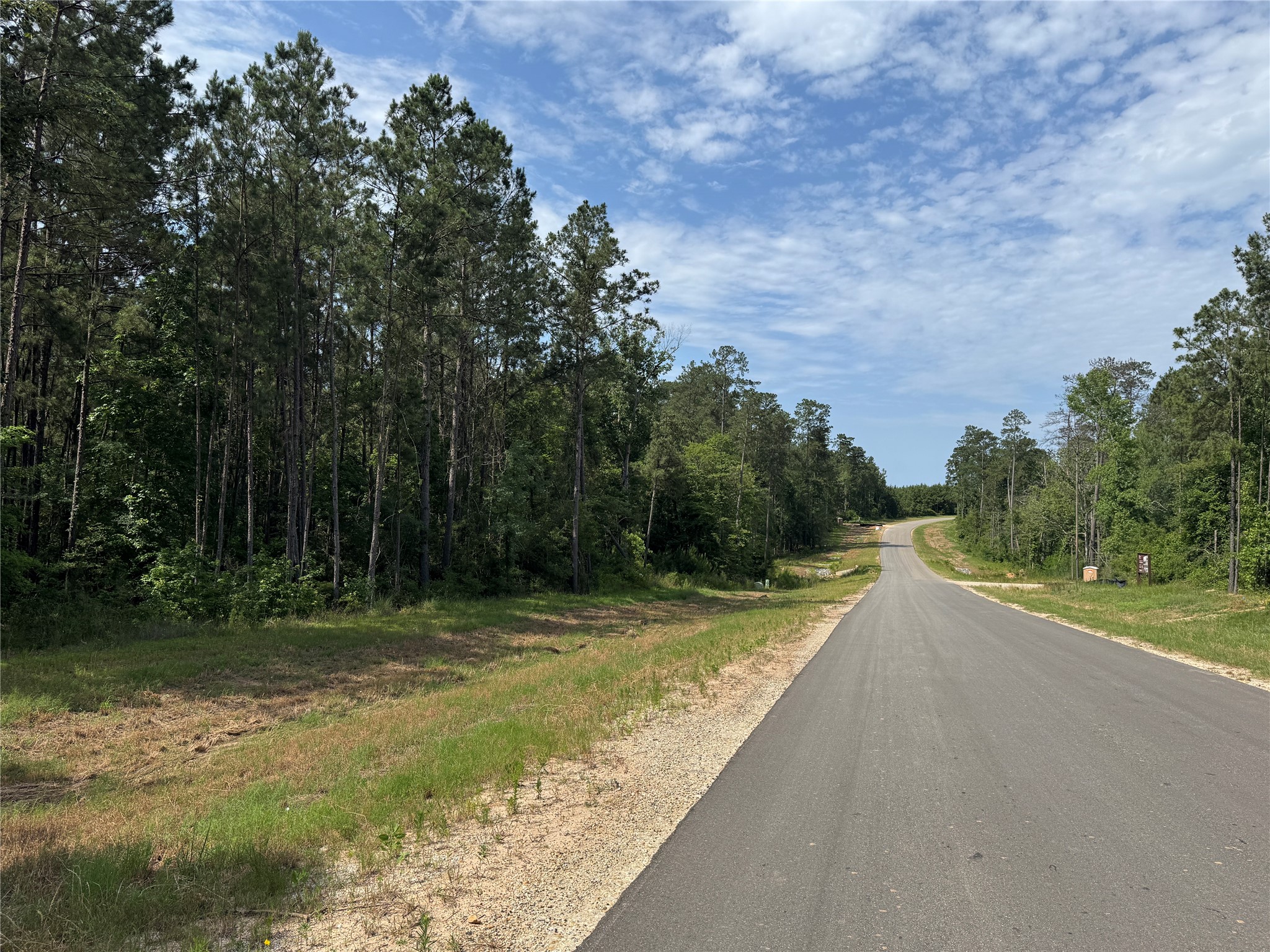 15810 Ridge Rock Road Willis, TX 77378 - Photo 2 of 16 a view of a backyard