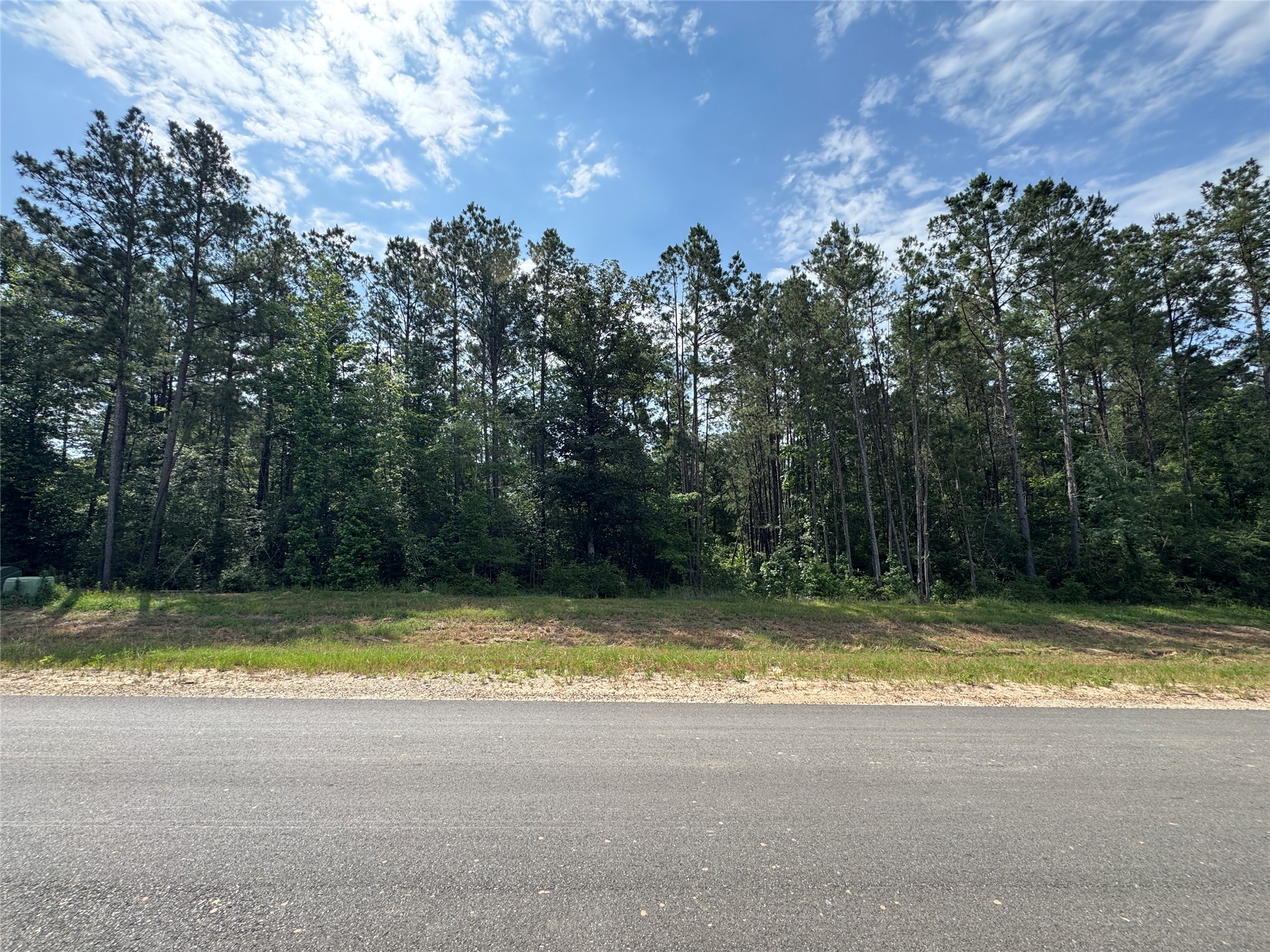 15810 Ridge Rock Road Willis, TX 77378 - Photo 4 of 16 a view of swimming pool with a yard and a large tree