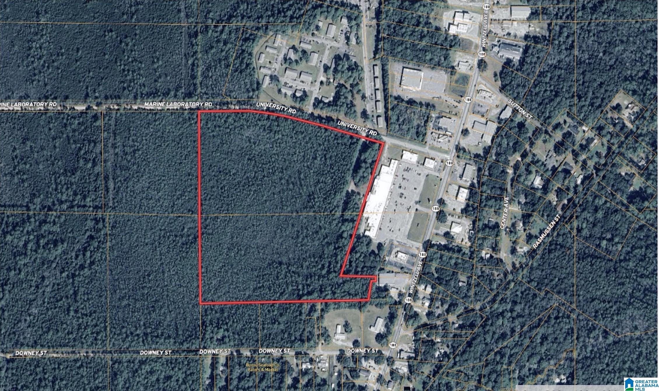 8701 University Road Bayou La Batre, AL 36509 - Photo 1 of 6