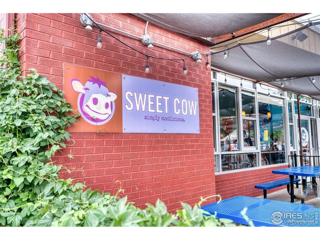 2834 Blue Jay Way Lafayette, CO 80026 - Photo 44 of 47 a sign that is on the wall of building