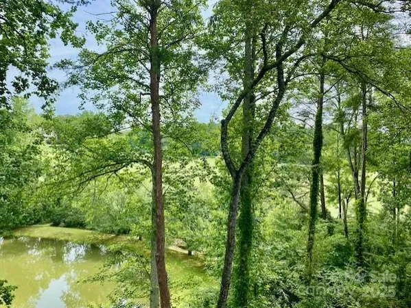 a view of outdoor space and trees