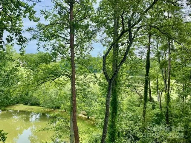 a view of outdoor space and trees