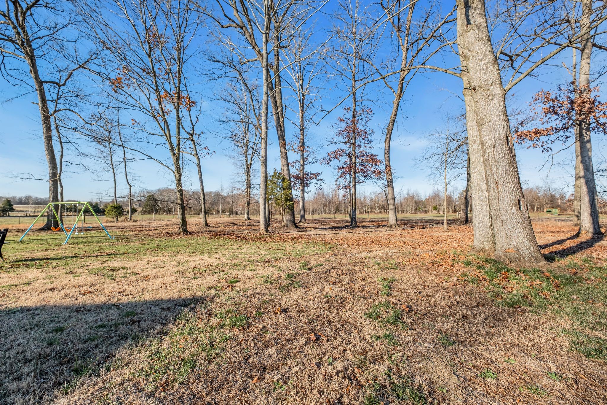 1447 Maxwell Branch Road Cottontown, TN 37048 - Photo 52 of 55 a view of yard with tree