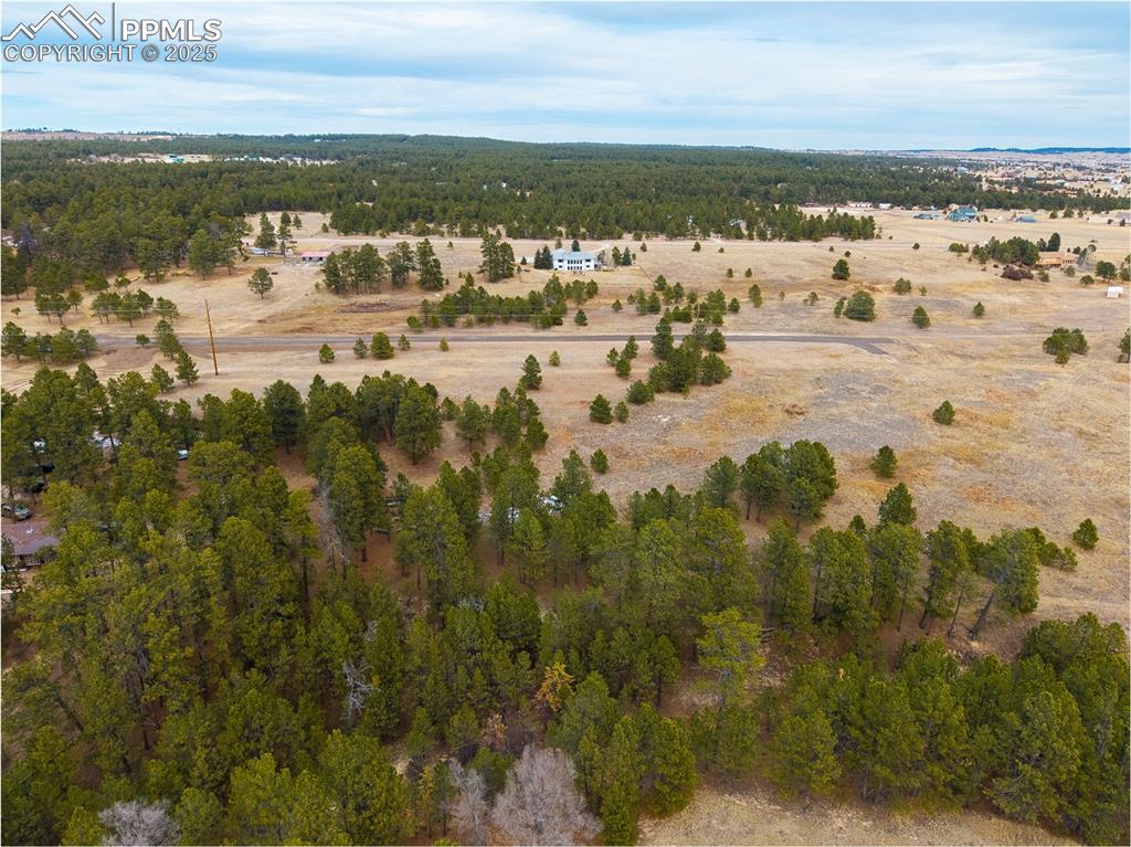 12015 Grandin Point Elbert, CO 80106 - Photo 3 of 5 a view of lake view and mountain view