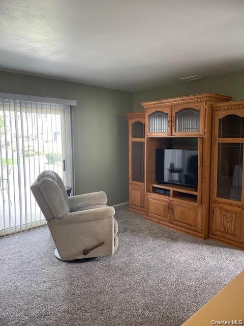 650 Newbridge Road, Unit 33 East Meadow, NY 11554 - Photo 3 of 12