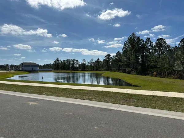 a view of backyard of house