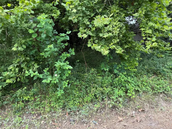 a backyard of a house with lots of plants