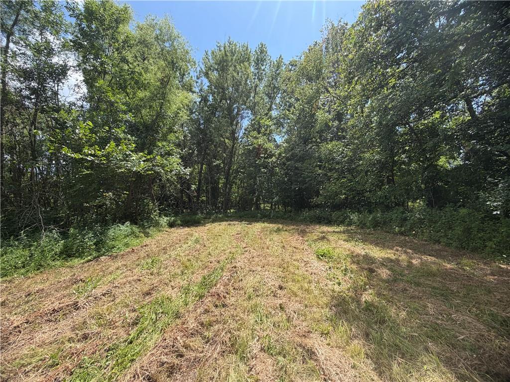 Tbd Campbell Road Knob Noster, MO 65336 - Photo 61 of 88 Gallery Image 61