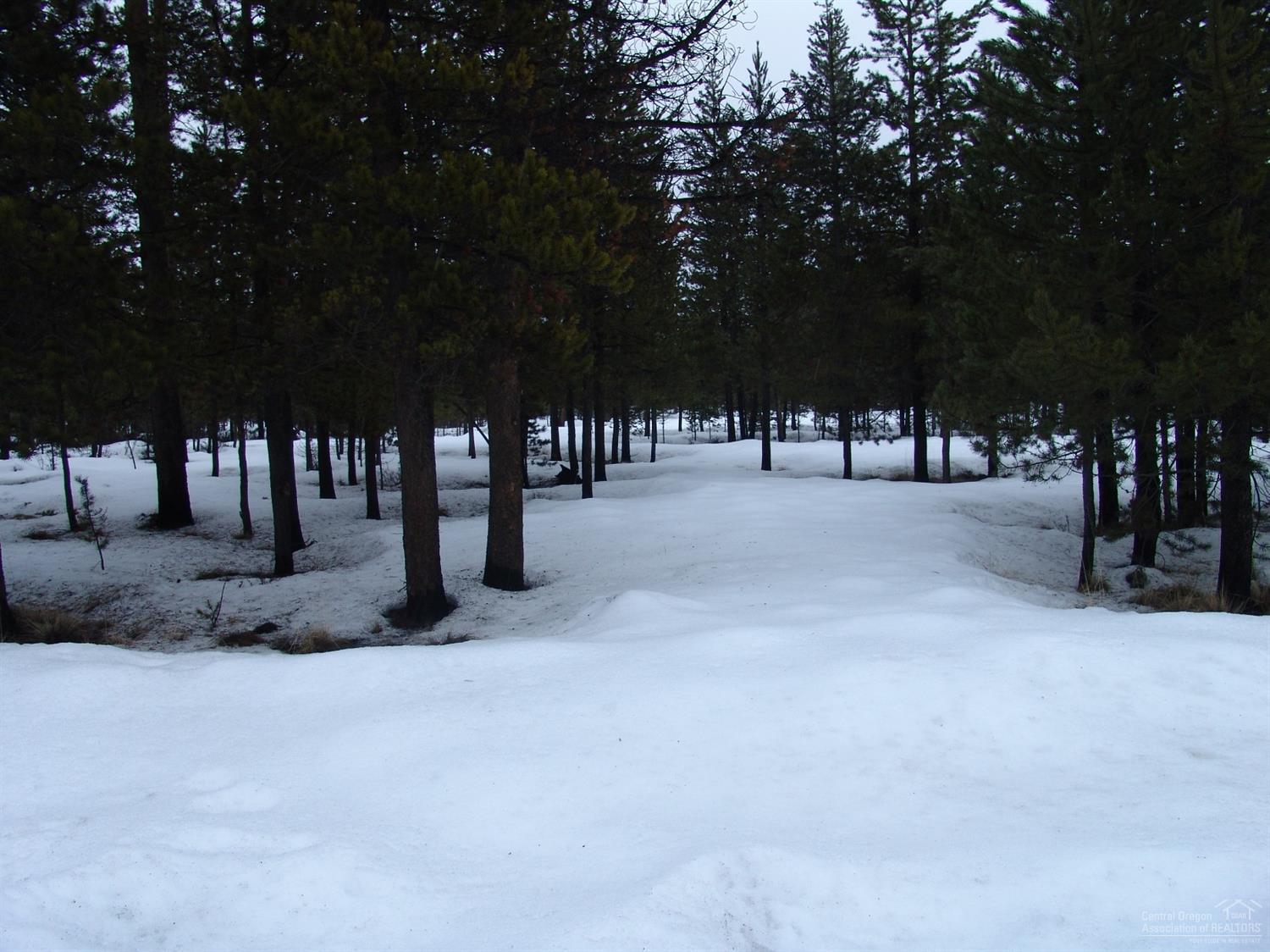 0 Birchwood Road La Pine, OR 97739 - Photo 1 of 3 Primary Photo