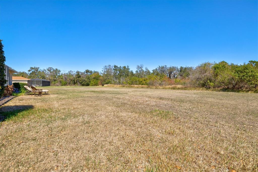 4008 Twin Rivers Trail Parrish, FL 34219 - Photo 60 of 97