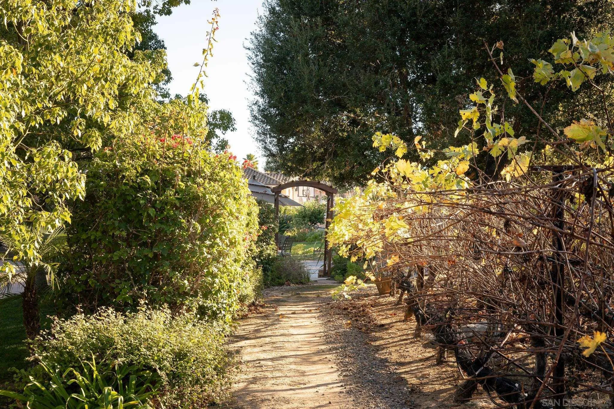 14014 Lake Poway Road Poway, CA 92064 - Photo 46 of 55 a view of a yard with plants and large trees
